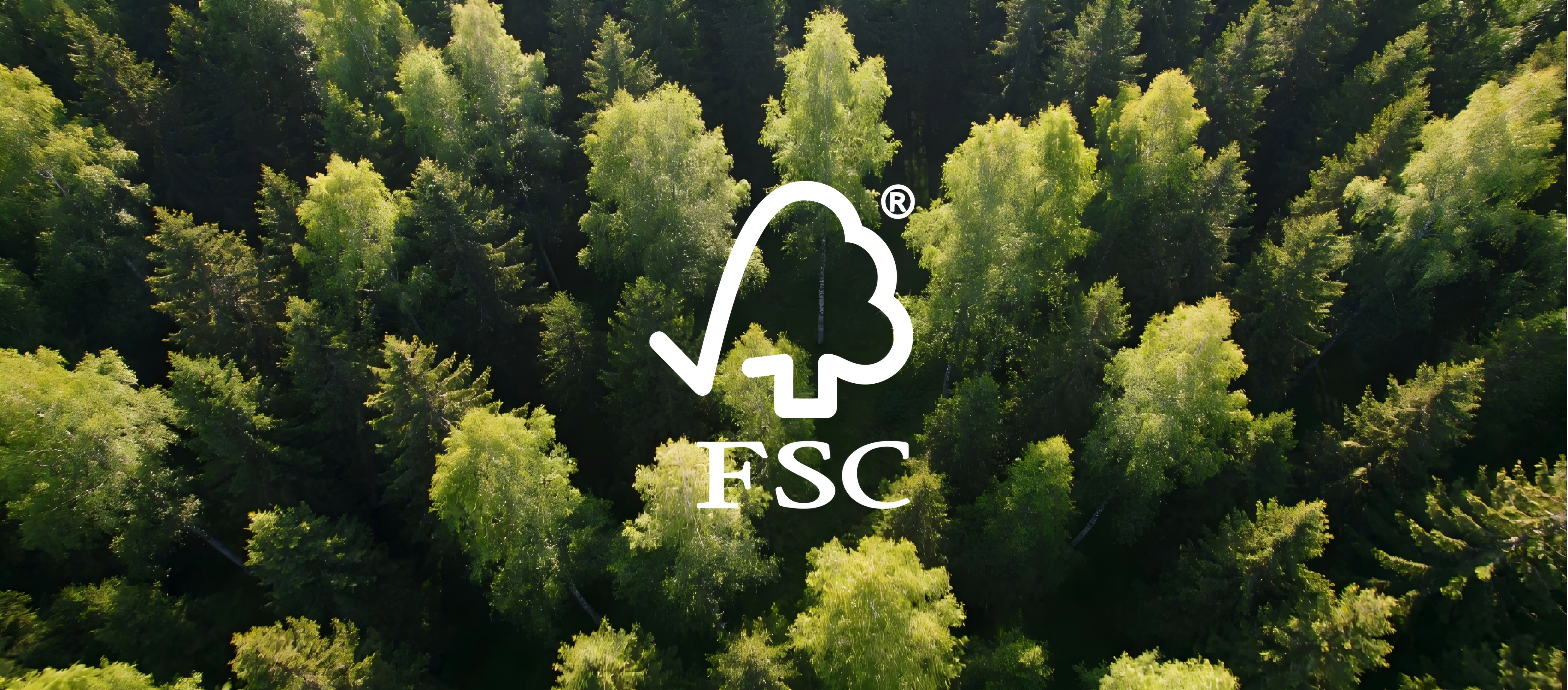Eco-Friendly Materials