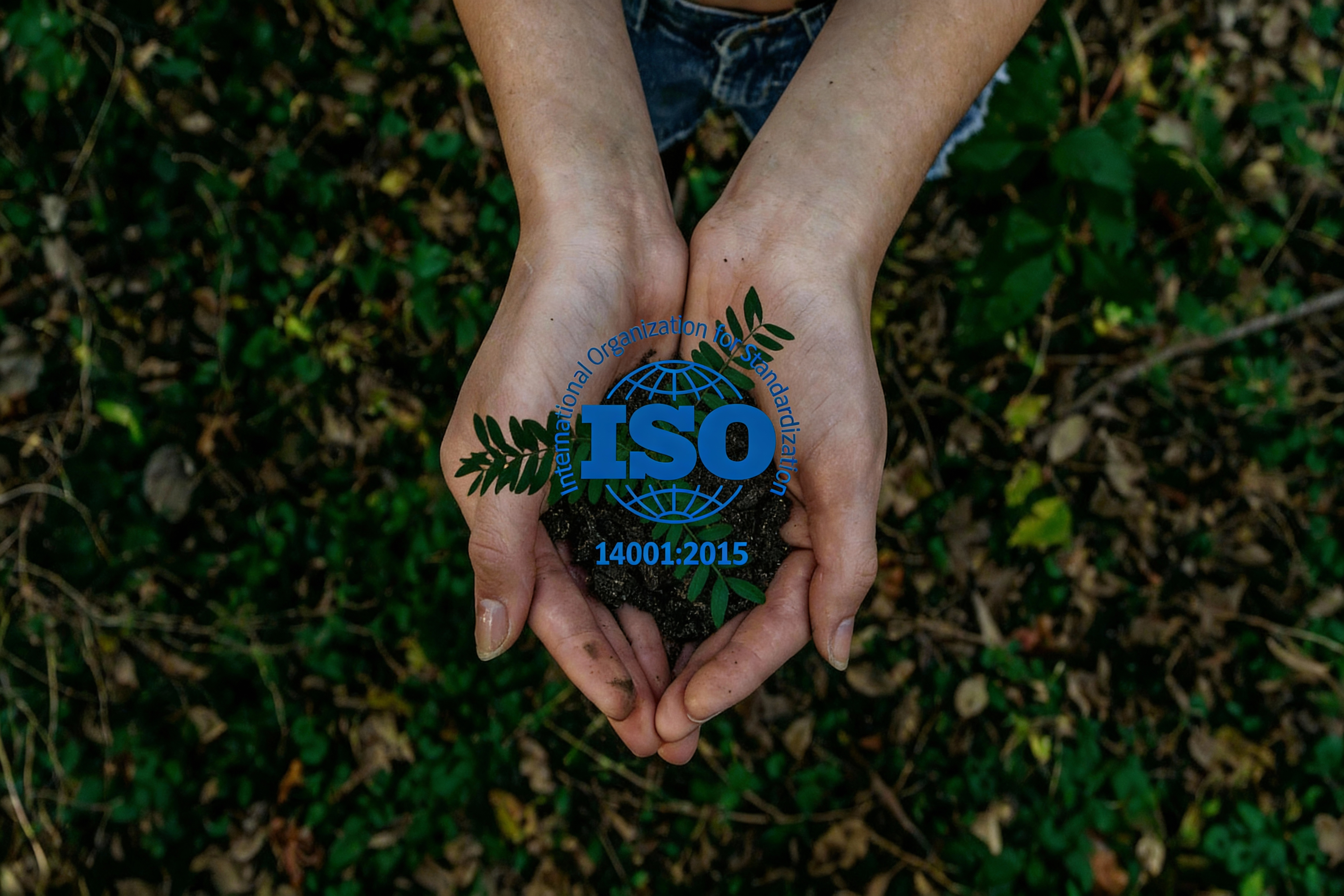Environmental Management