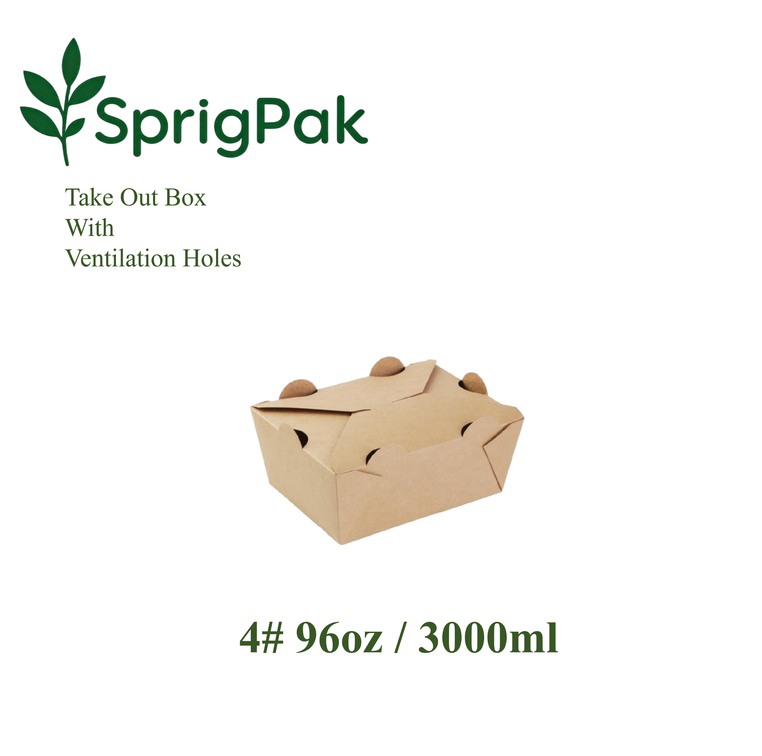 4# Take Out Box With Holes