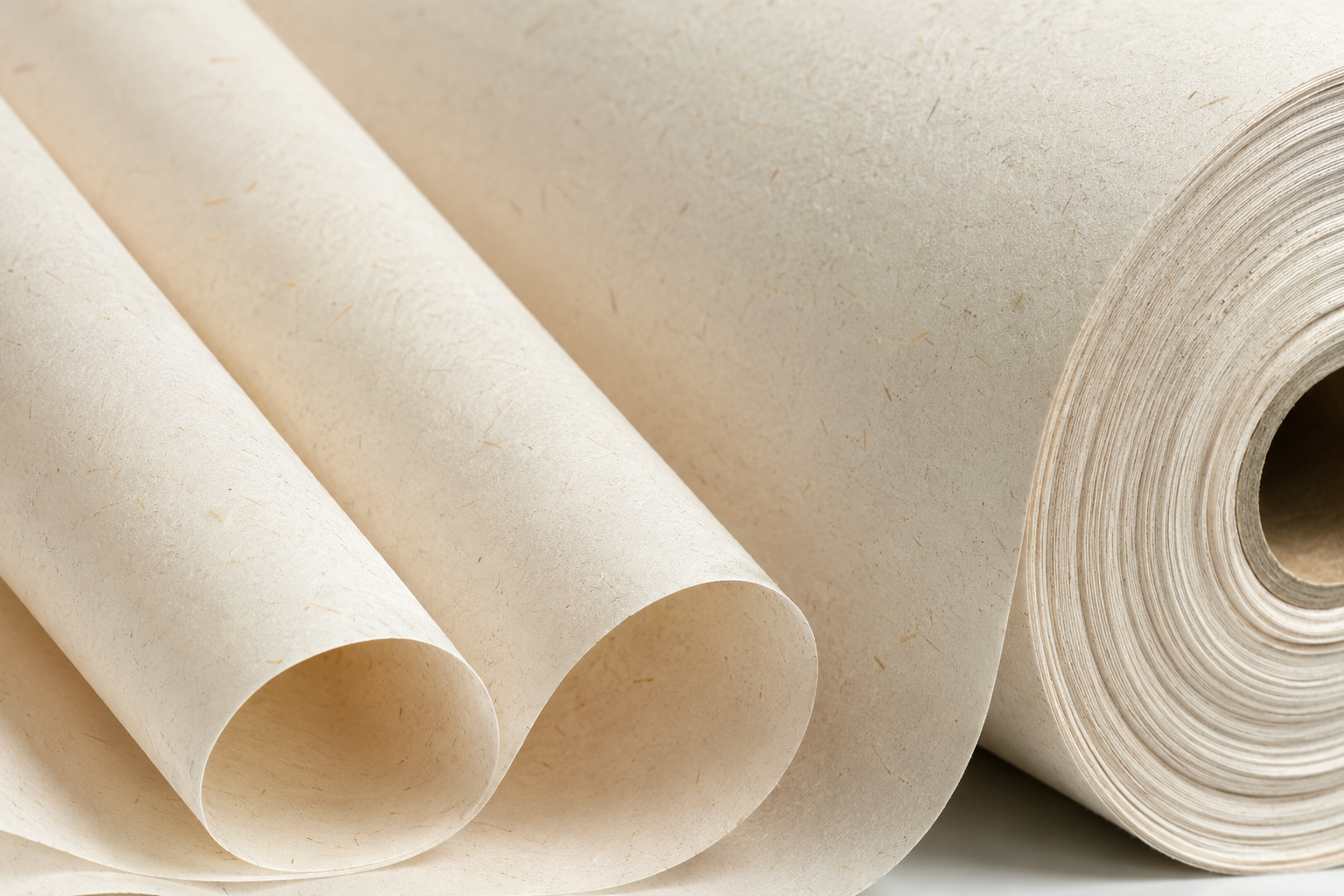 Bamboo Pulp - eco-friendly alternative fiber